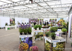 Inside at FN Kempen, the FlowerTrials location.